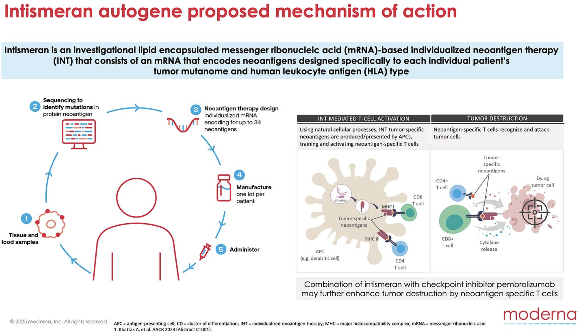 An infographic shows the five-step mechanism of action for Intismeran, an mRNA-based personalized cancer vaccine therapy.